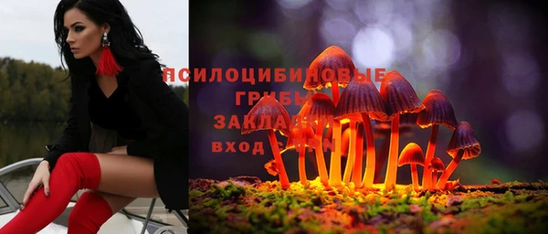 mdpv Волоколамск