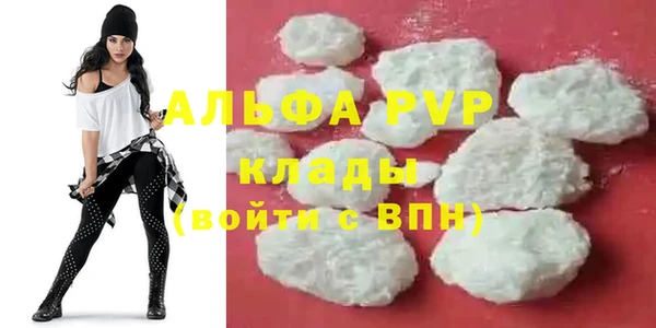 mdpv Волоколамск