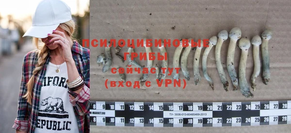 mdpv Волоколамск