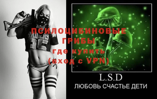 mdpv Володарск
