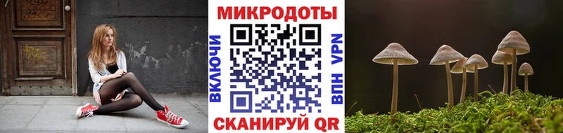 Псилоцибиновые грибы Psilocybine cubensis  продажа наркотиков  Липки 